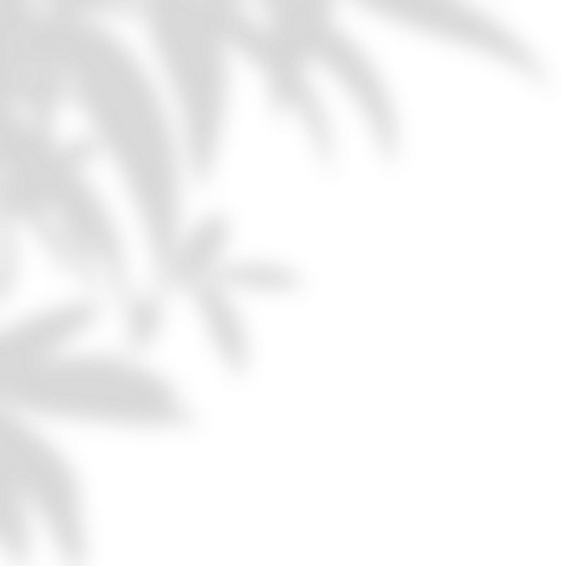 Leaves Shadow Illustration