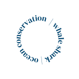 ocean conservation whale shark